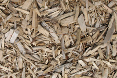 biomass boilers Mosshouses